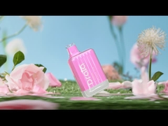 Drala 600 / 800 Puffs Jednorazowe długopisy Vape Fruit Flavour E Cigarette Vape